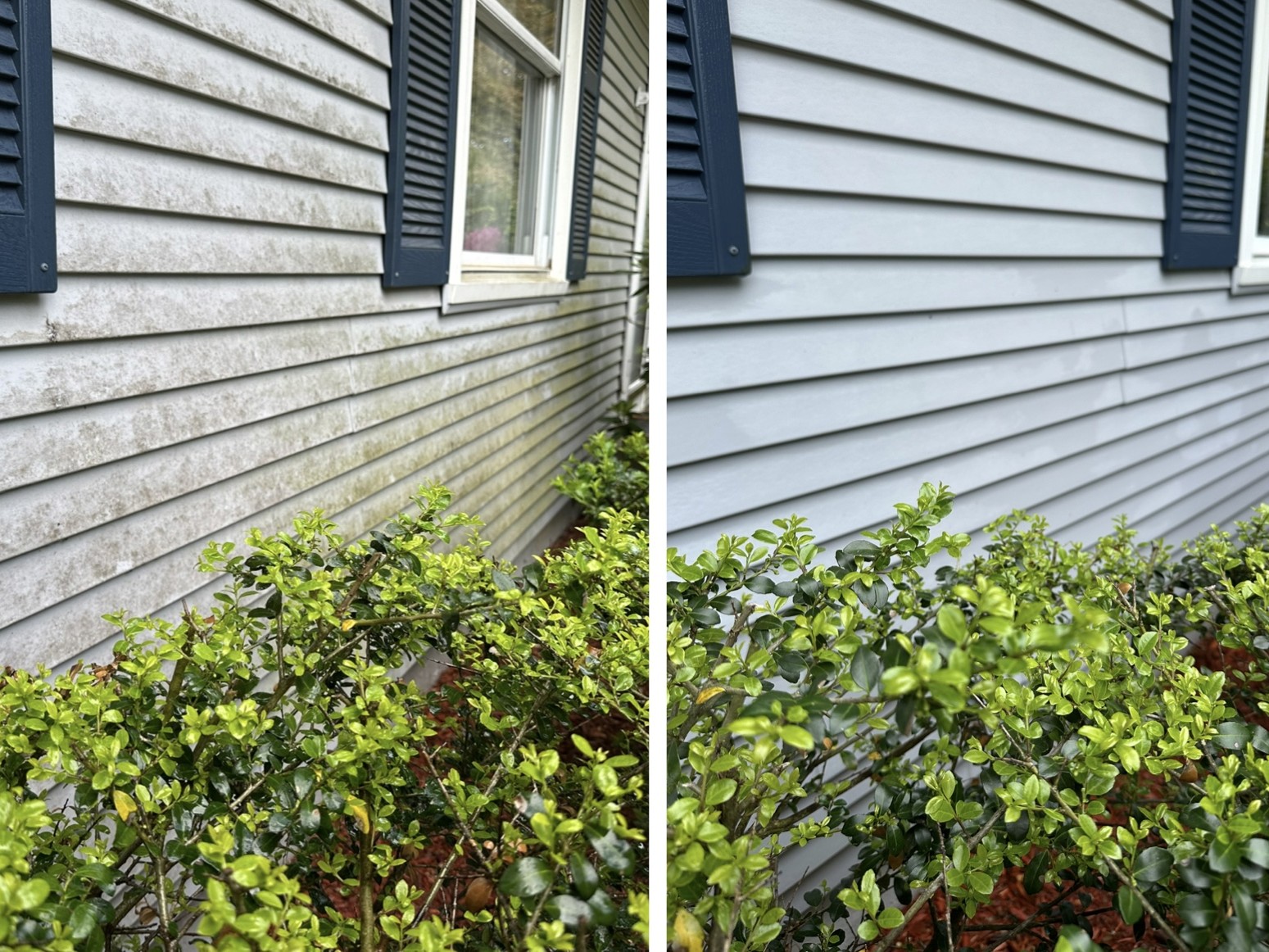 House and siding soft wash — before and after